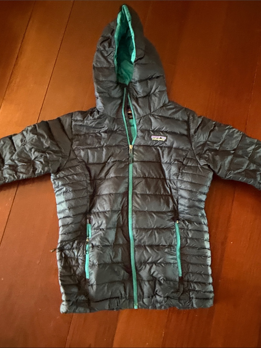 Patagonia Puffer Jacket